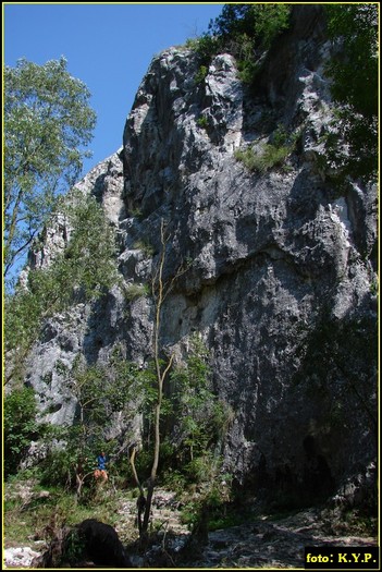 DSC07782 - Cheile Turzii - august 2010