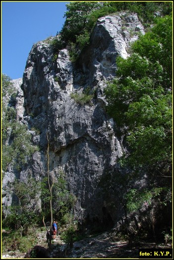 DSC07785 - Cheile Turzii - august 2010