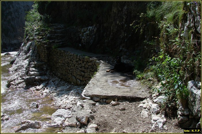 DSC07788 - Cheile Turzii - august 2010