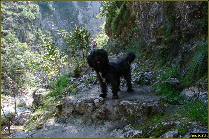 DSC07793 - Cheile Turzii - august 2010