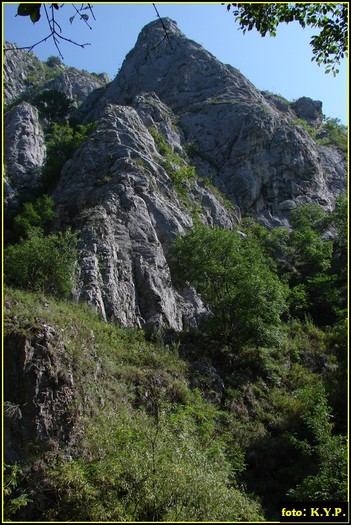 DSC07794 - Cheile Turzii - august 2010