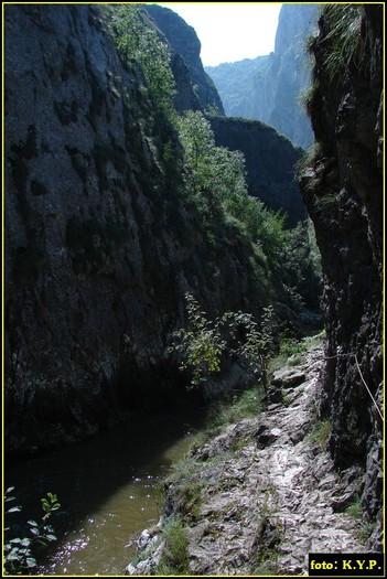 DSC07800 - Cheile Turzii - august 2010