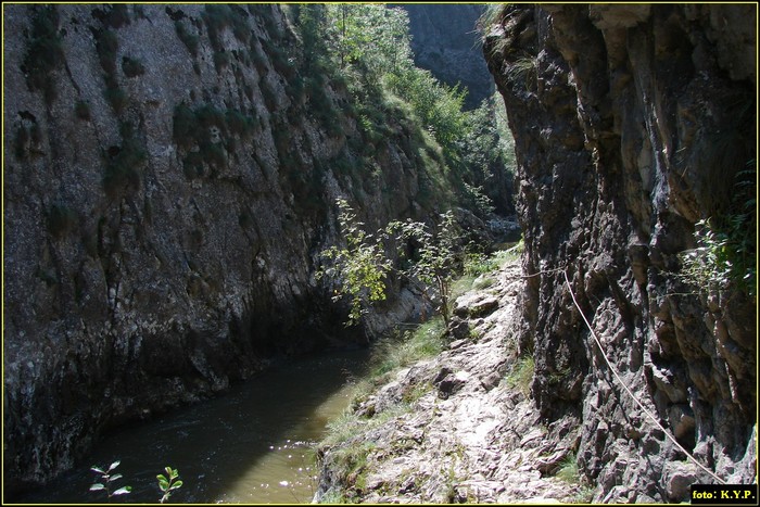 DSC07801 - Cheile Turzii - august 2010