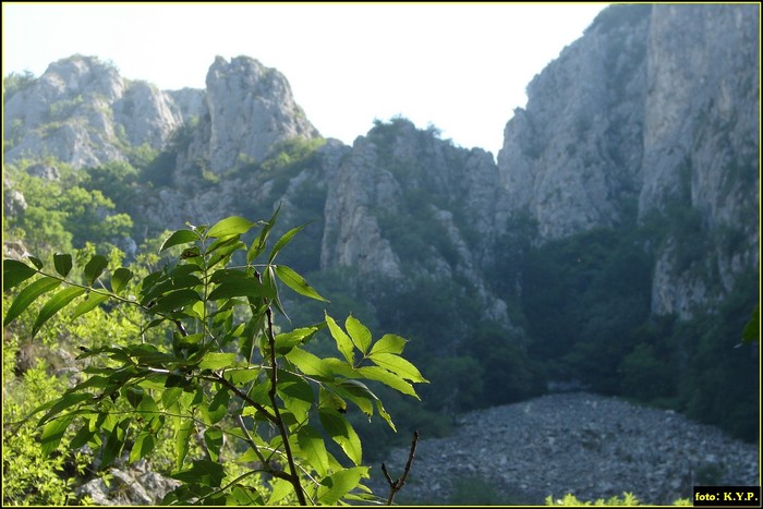 DSC07813 - Cheile Turzii - august 2010