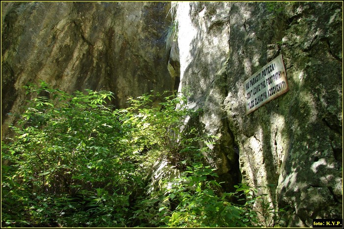 DSC07815 - Cheile Turzii - august 2010