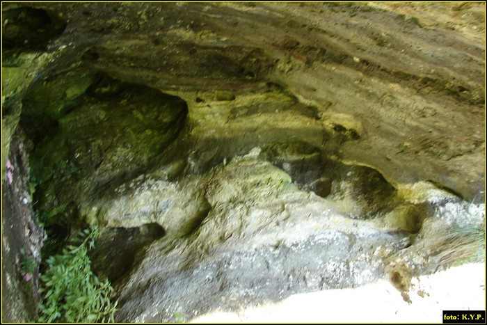 DSC07817 - Cheile Turzii - august 2010