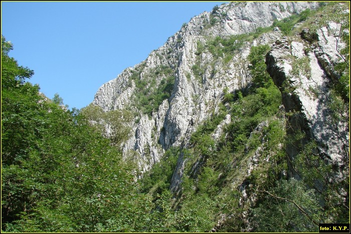 DSC07819 - Cheile Turzii - august 2010