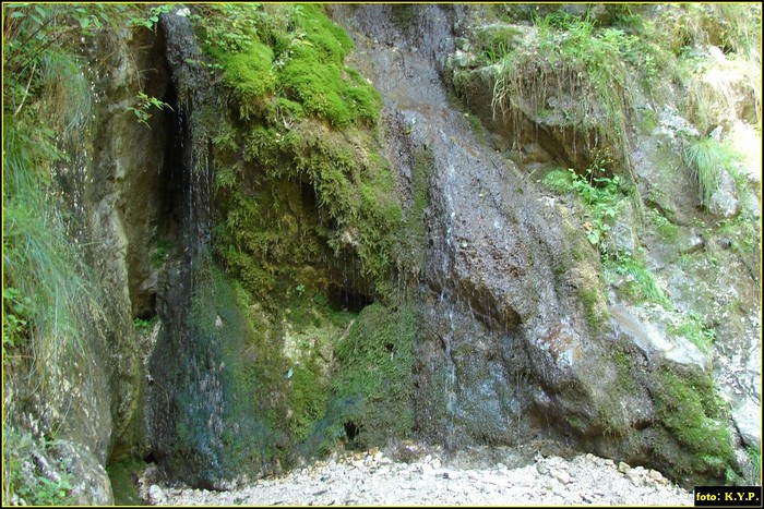 DSC07830 - Cheile Turzii - august 2010