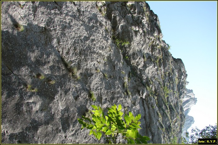 DSC07836 - Cheile Turzii - august 2010