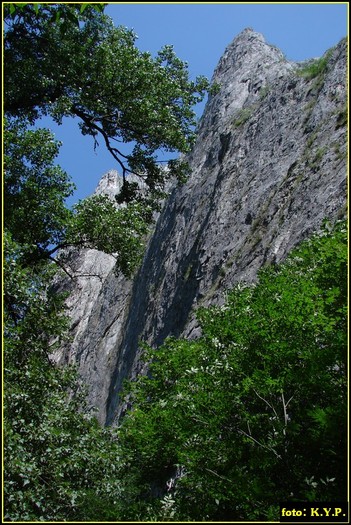 DSC07860 - Cheile Turzii - august 2010