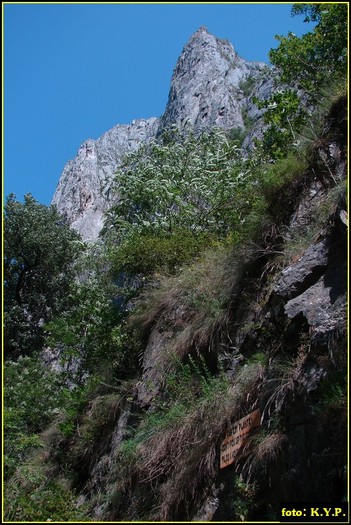 DSC07862 - Cheile Turzii - august 2010