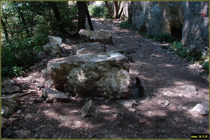 DSC07874 - Cheile Turzii - august 2010