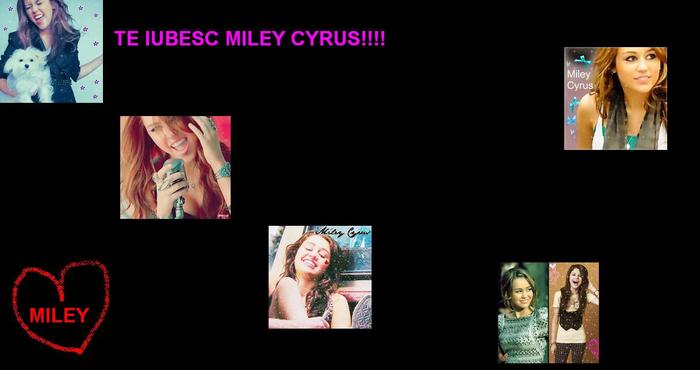 untitled - AICI VA ARAT CAT DE MOOLT O IUBESC PE MILEY CYRUS