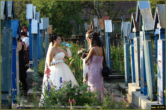 DSC07123