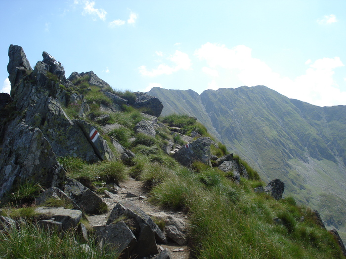 DSC00343 - FAGARAS 2010