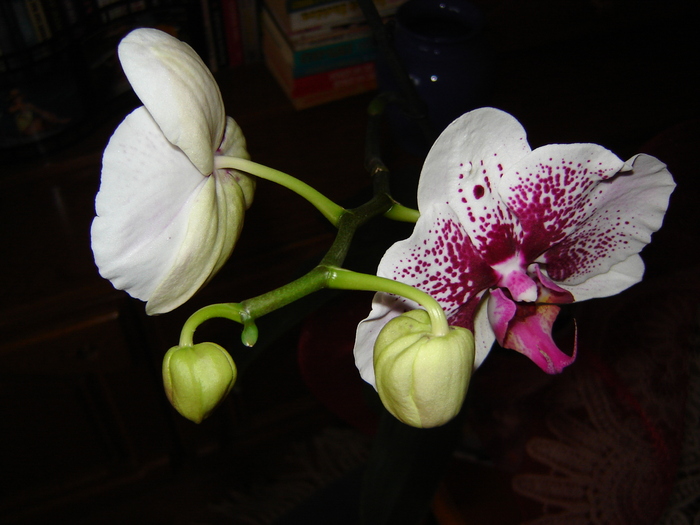 DSC03169