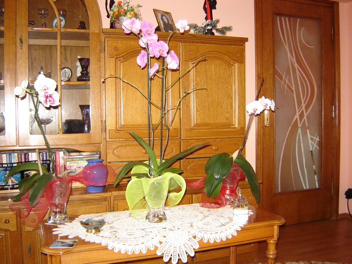 DSC03177
