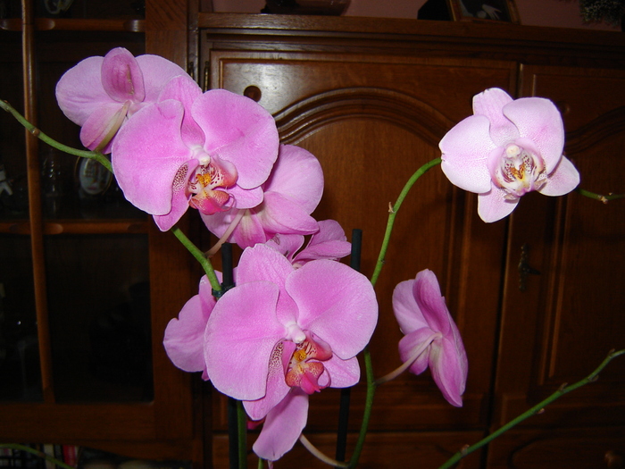 DSC03178