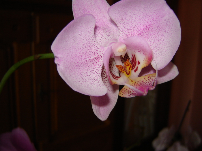 DSC03180