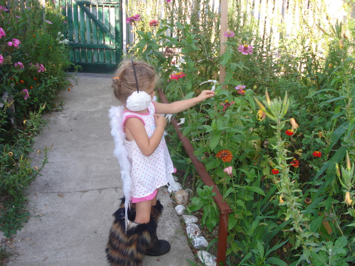 ITI SPUN BINE-AI VENIT!!