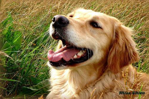 941913192_ec155aa88e[1]