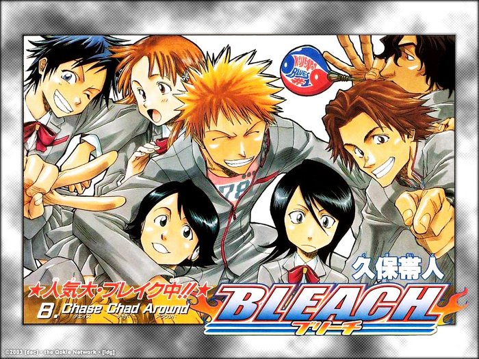 Bleach_110008