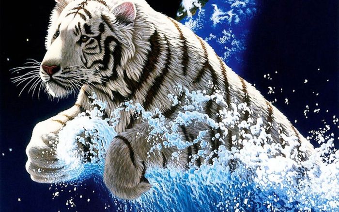 tigri-la-joaca-1440x900[1] - tigrii