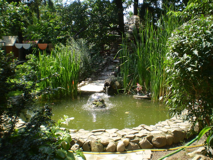 P1010133 - curtea locul de munca