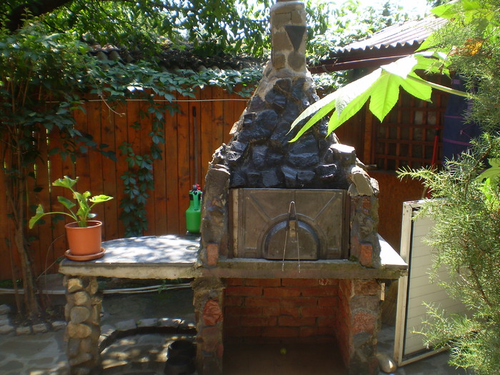 P1010135 - curtea locul de munca