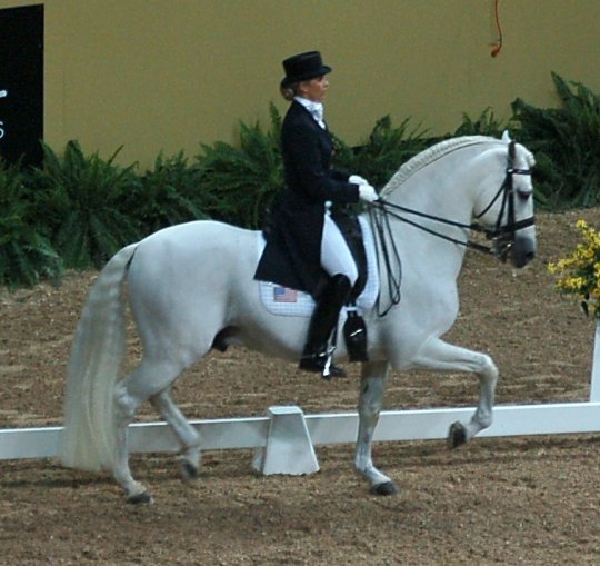andalusian_a[1] - cai
