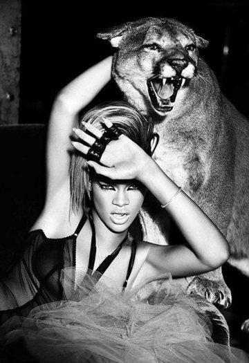 post_image-rihanna-photoshoot-photos-12242009-021