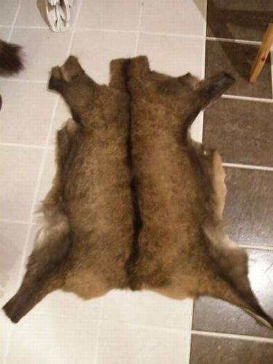 CN180)230€ piel de rebeco