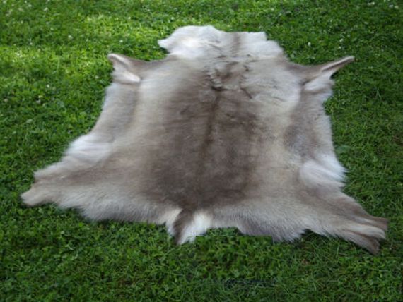 CN185)235€ P/Reno; piel de reno
