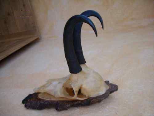 CN115)190€      20cm; 20 de cm
