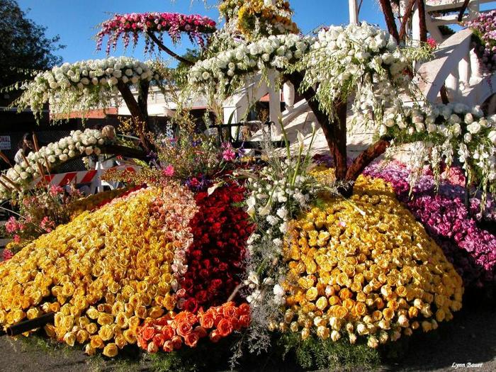 Rose_Parade_3