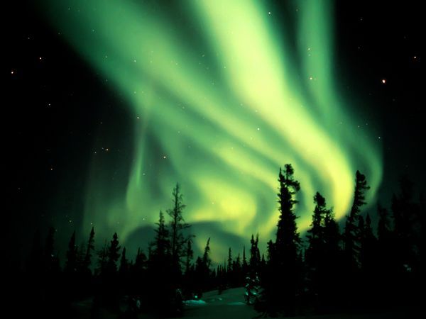 green-aurora-rosing_1417_600x450