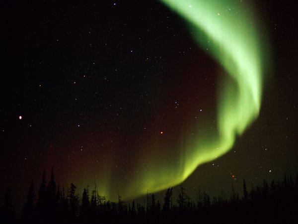 exquisite-aurora_9340_600x450