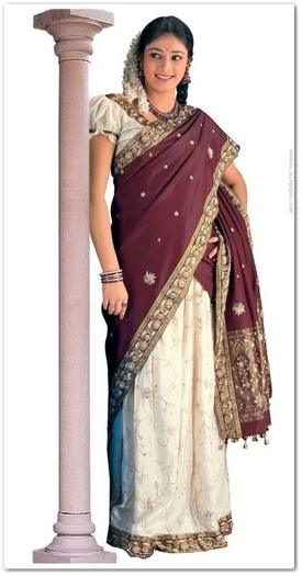 sari6