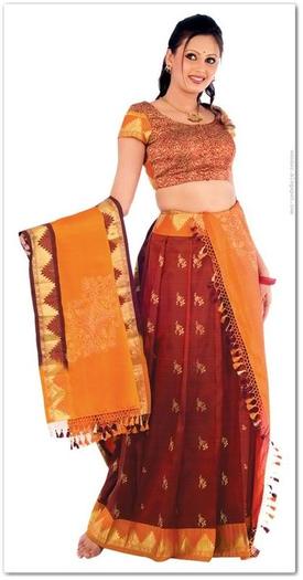 sari11