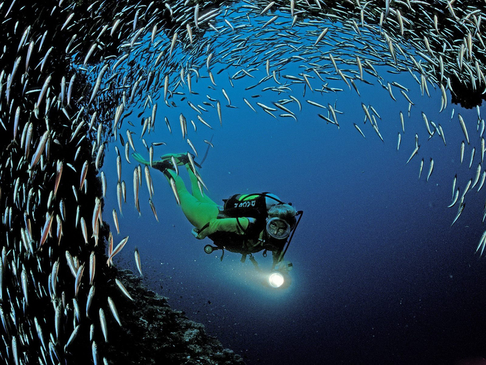 Underwater Wallpaper (5) - Ocean Wallpapers