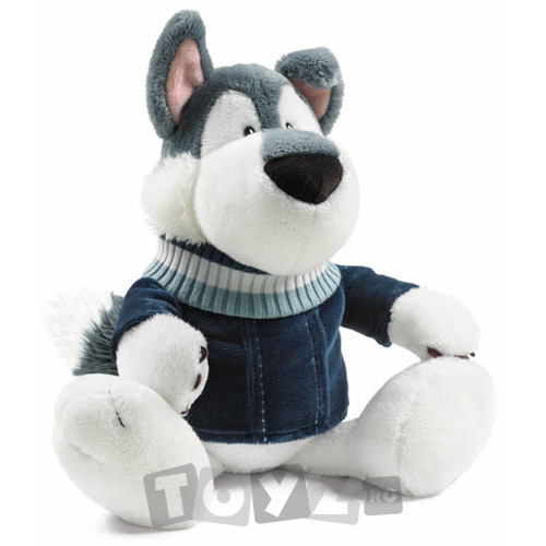 nici-winter-husky-cainele-jack-22lei