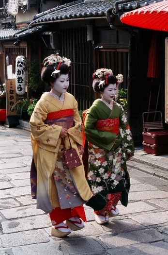 geisha 1000