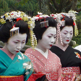 geisha 8000