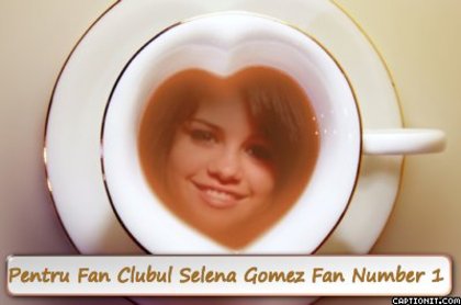 captionit0011053355D30 - Album Pentru Toti Fanii Selena Gomez