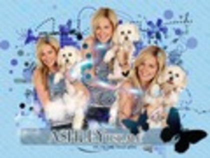 Ashley-Tisdale-high-school-musical-10957753-120-90