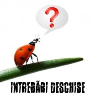 -am-intrebari-deschise