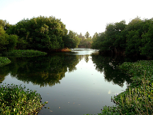 Coyuca Lagoon Acapulco,Mexic