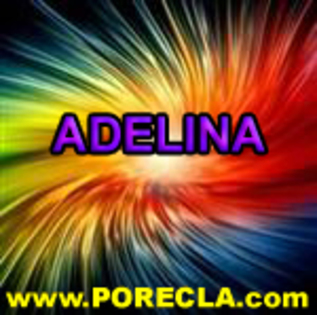 503-ADELINA%20profesor