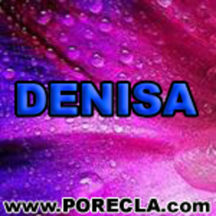 550-DENISA%20ingineru