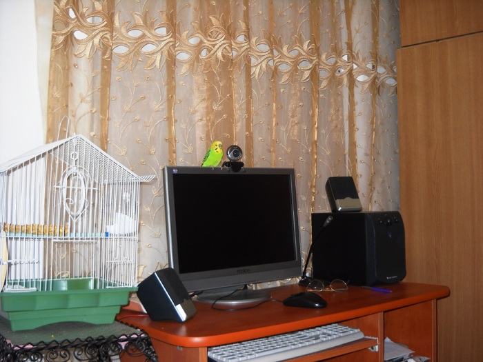 Picture 006 - papagalul meu tzutzurica